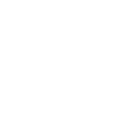 Bear Gym Logo